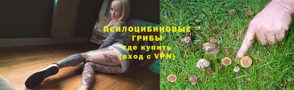 ГАЛЛЮЦИНОГЕННЫЕ ГРИБЫ Алзамай